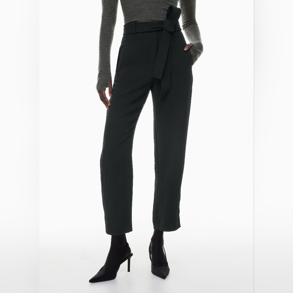 Aritzia Wilfred Tie Front Pants
